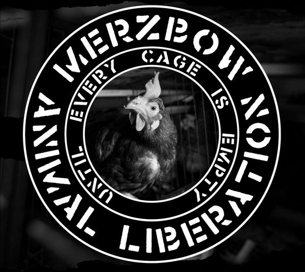 MERZBOW / ANIMAL LIBERATION - UNTIL EVERY CAGE IS EMPTY