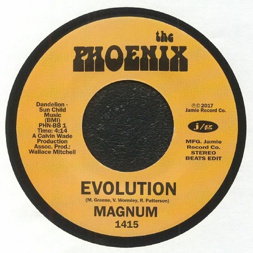 EVOLUTION / IT'S THE MUSIC THAT MAKES US DO IT (7