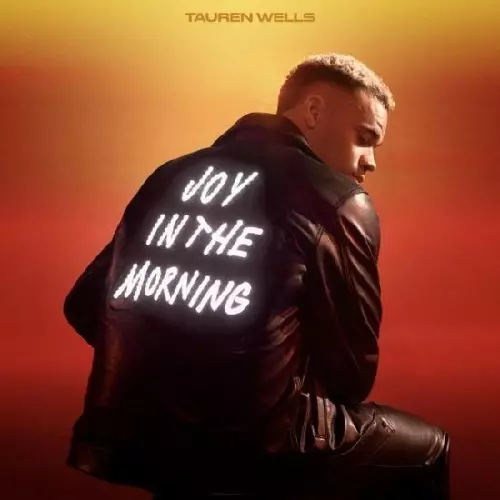 TAUREN WELLS / JOY IN THE MORNING