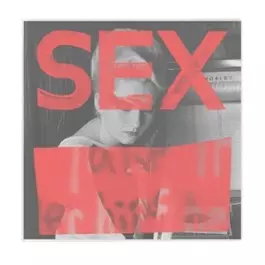 SEX - WE ARE NOT IN THE LEAST AFRAID OF RUINS (CD)/V.A.(SEX