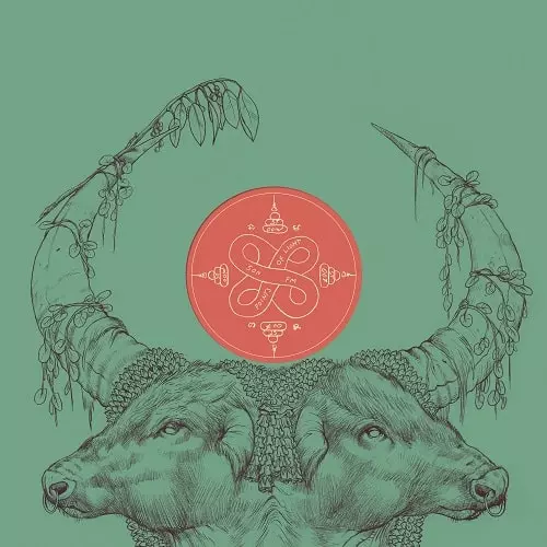 SON FM / POINTS OF LIGHT (LP)