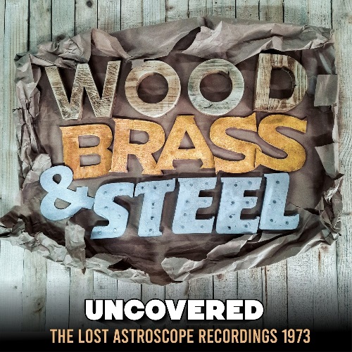 WOOD, BRASS & STEEL / UNCOVERED (LP)