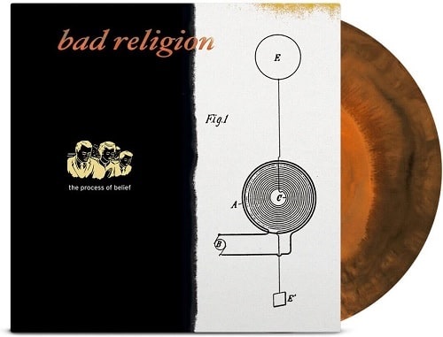 BAD RELIGION / バッド・レリジョン / THE PROCESS OF BELIEF - ANNIVERSARY EDITION (LP)