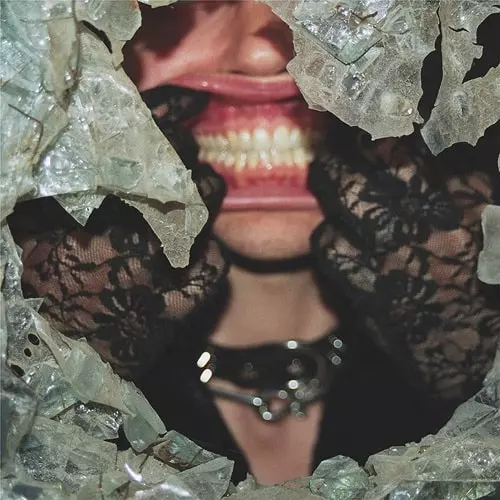 HUSTLER (PUNK) / HUSTLER (LP) 