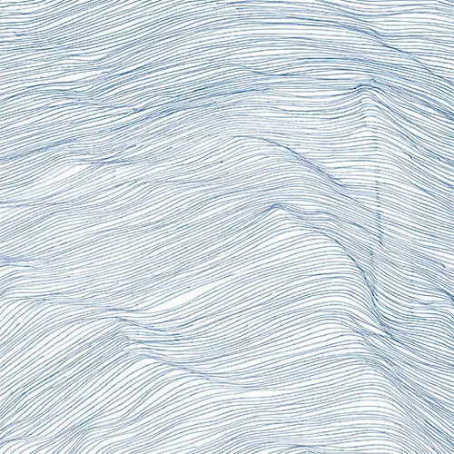 QASIM NAQVI / カシム・ナクヴィ / Two Centuries(LP)