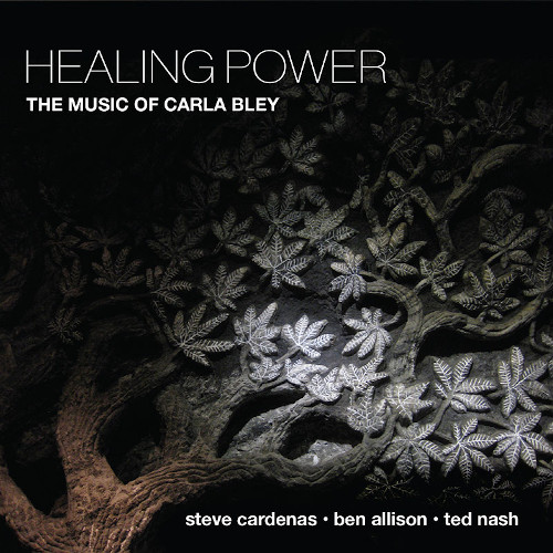 STEVE CARDENAS / スティーヴ・カーデナス / Healing Power