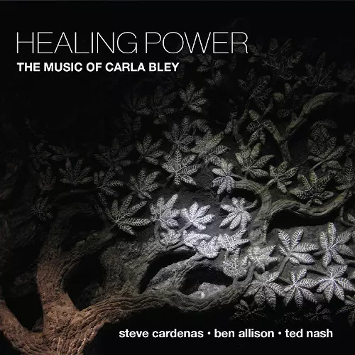STEVE CARDENAS / Healing Power