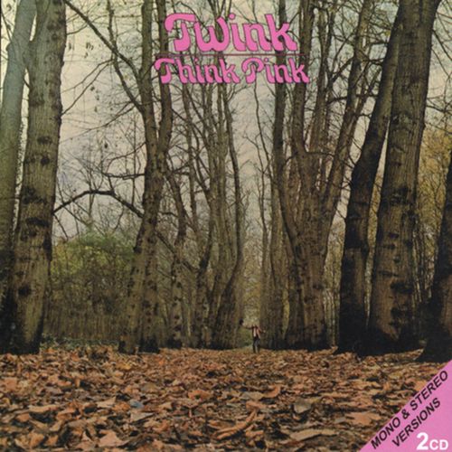 TWINK / トゥインク / THINK PINK (2CD)