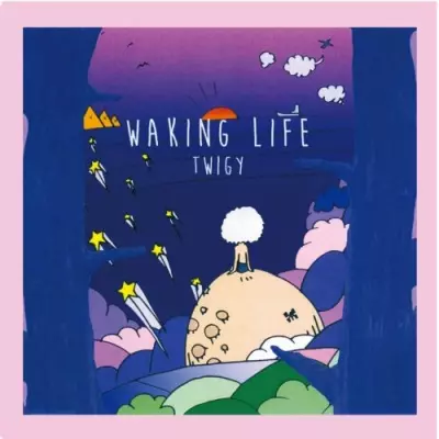 TWIGY◾️激レア◾️Walking Life◾️LP WAKING LIFE 