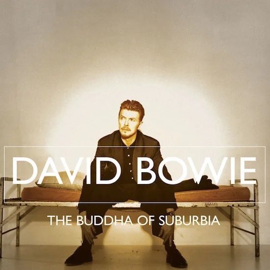 DAVID BOWIE / デヴィッド・ボウイ / THE BUDDA OF SUBURBIA (2021 REMASTER) [180GRAM 2LP VINYL]