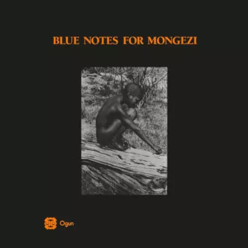 BLUE NOTES(CHRIS MCGREGOR) / ブルー・ノーツ(クリス・マクレガー) / Blue Notes For Mongezi (2LP)