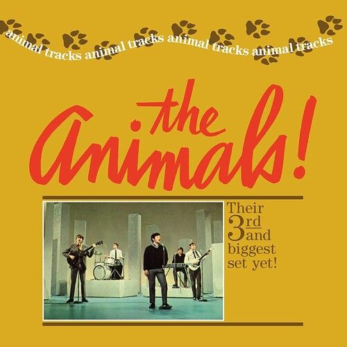 THE ANIMAIS LPレコード　2枚セット