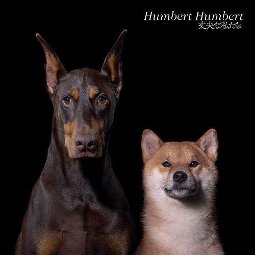 HUMBERT HUMBERT / ハンバートハンバート / 丈夫な私たち