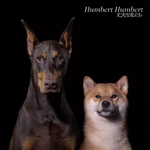 HUMBERT HUMBERT / ハンバートハンバート / 丈夫な私たち
