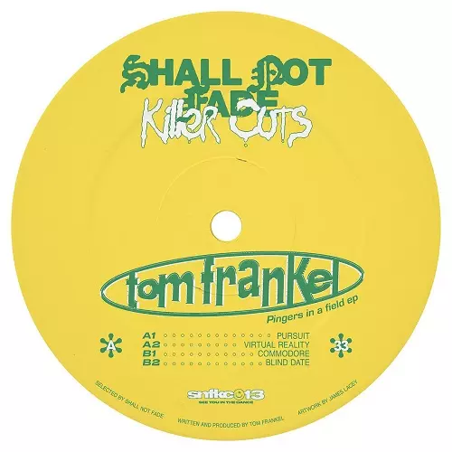 TOM FRANKEL / PINGERS IN A FIELD EP