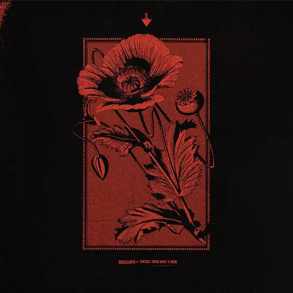 KOLLAPS / コラプス / UNTIL THE DAY I DIE [CD]