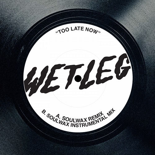 TOO LATE NOW (SOULWAX REMIX)/WET LEG/デビューアルバムが全英1位を