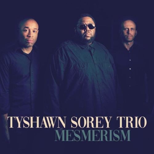 TYSHAWN SOREY / タイショーン・ソーリー / Mesmerism(LP)