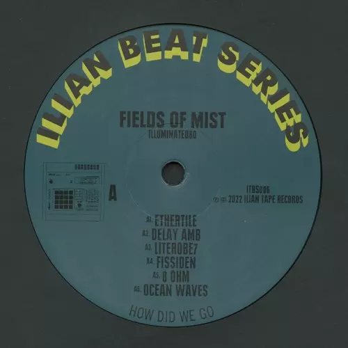 FIELDS OF MIST / ILLUMINATED60