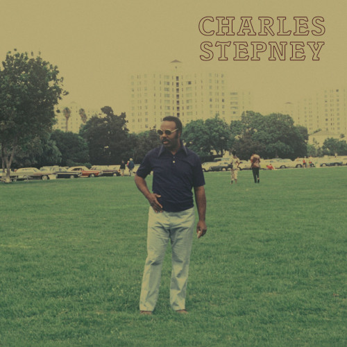 CHARLES STEPNEY / チャールズ・ステップニー / Step on Step(2LP/GOLD COLOURED VINYL)