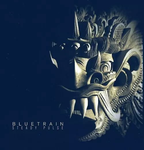 BLUETRAIN (TECHNO) / STEADY PULSE (2LP)