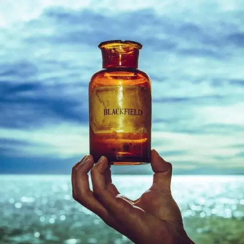 BLACKFIELD / ブラックフィールド / BLACKFIELD V: LIMITED VINYL