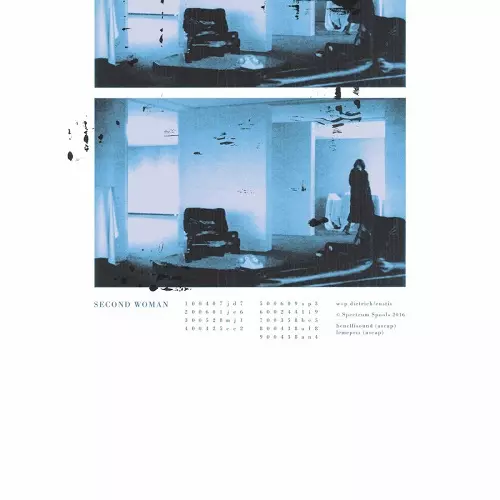 SECOND WOMAN / セカンド・ウーマン / SECOND WOMAN(CLEAR VINYL)