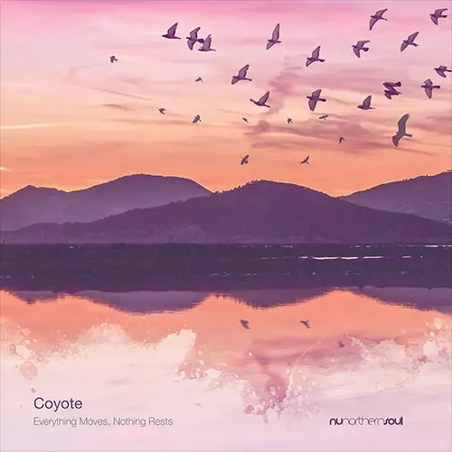 COYOTE (UK BALEARIC) / コヨーテ / EVERYTHING MOVES, NOTHING RESTS