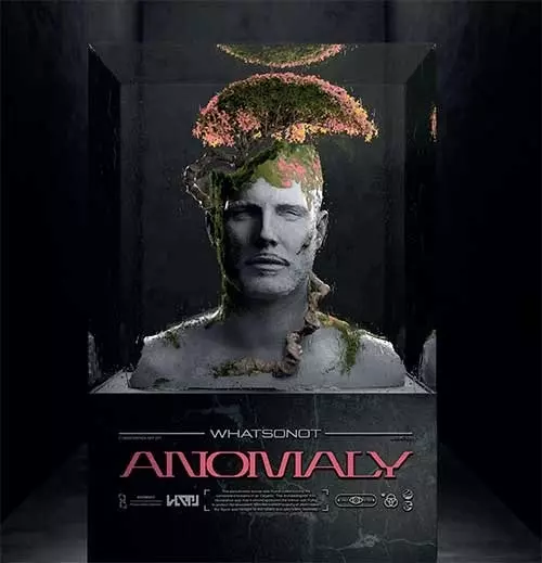 WHAT SO NOT / ANOMALY (LP)