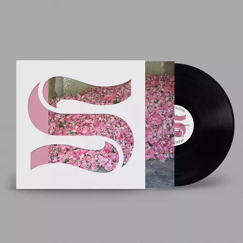 BRAXE + FALCON / STEP BY STEP EP