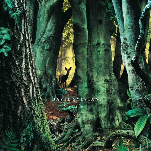 DAVID SYLVIAN / デヴィッド・シルヴィアン / MANAFON (2LP/180G)