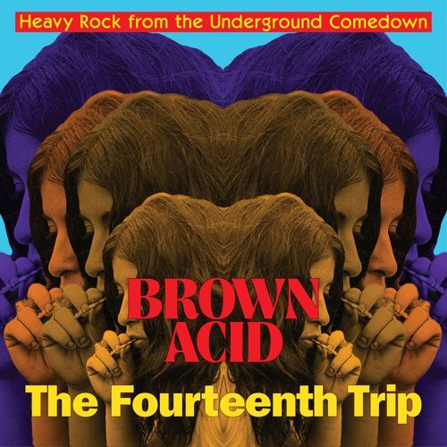 V.A. / BROWN ACID - THE FOURTEENTH TRIP (LP)