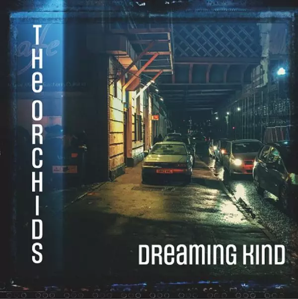 ORCHIDS / オーキッズ / DREAMING KIND (CD)