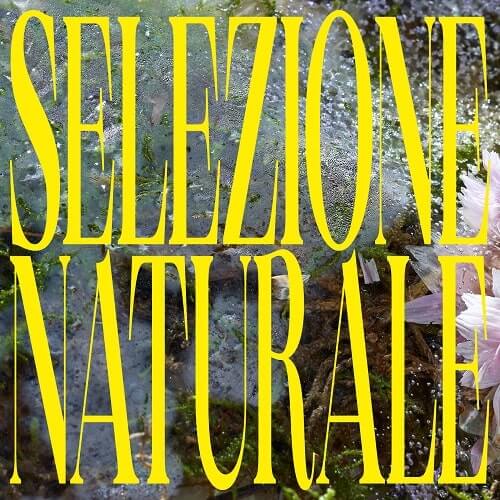 SELEZIONE NATURALE / NOVA MUNDI (CASSETTE)