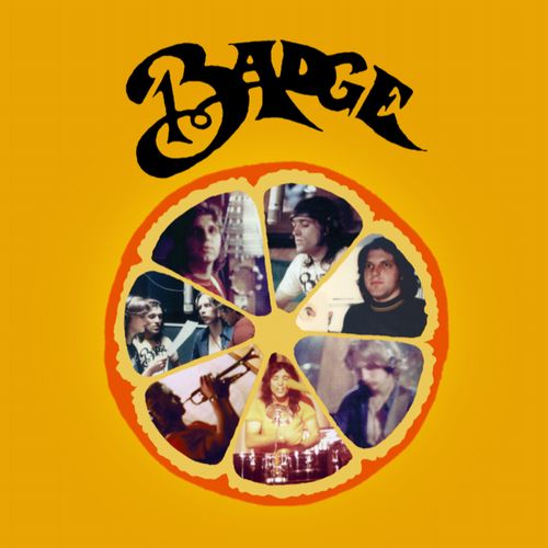 BADGE (US PSYCH) / COLLECTED SINGLES (LP)