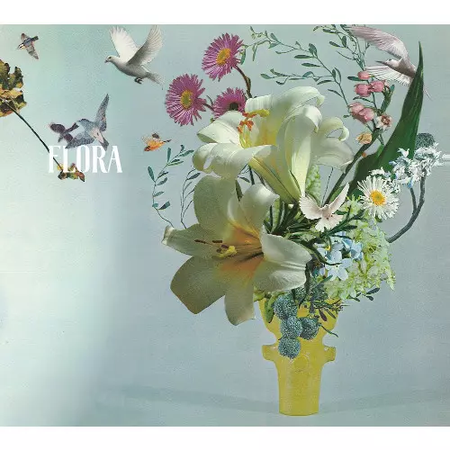 SAYAKA UENAMI / 上浪さやか / FLORA / フローラ
