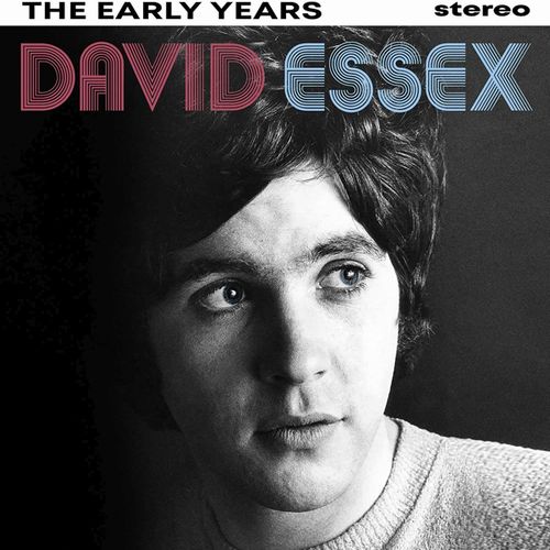 DAVID ESSEX / デヴィッド・エセックス / THE EARLY YEARS (CD)