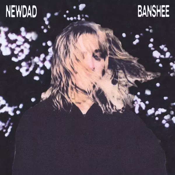 NEWDAD / ニューダッド商品一覧｜ROCK / POPS / INDIE｜ディスク