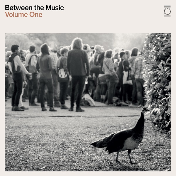 V.A. / END OF THE ROAD PRESENTS: BETWEEN THE MUSIC (LP)