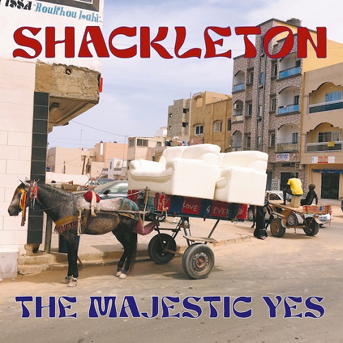 SHACKLETON / シャックルトン / MAJESTIC YES