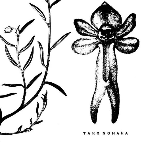 TARO NOHARA / タロウ・ノハラ / POLY-TIME SOUNDSCAPES / FOREST OF THE SHRINE