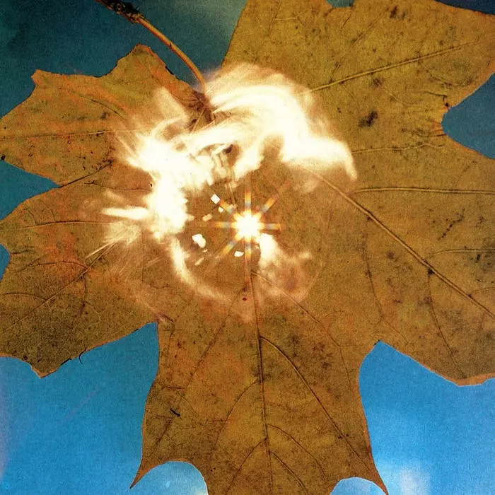 SOYUZ / ソユーズ / FORCE OF THE WIND