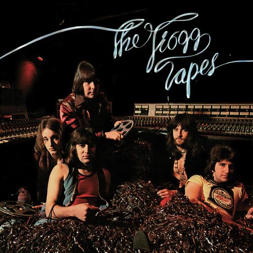 TROGGS / トロッグス / THE TROGG TAPES (LP)