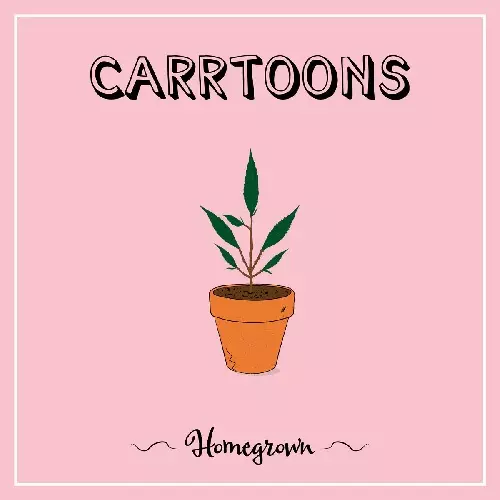 CARRTOONS / カートゥーンズ (SOUL) / HOMEGROWN (LP)