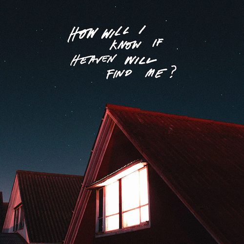 AMAZONS / アマゾンズ(UK) / HOW WILL I KNOW IF HEAVEN WILL FIND ME? [CD]