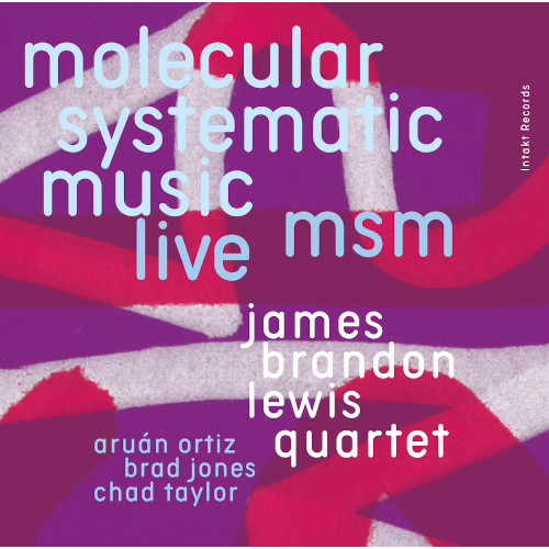 JAMES BRANDON LEWIS / ジェームス・ブランドン・ルイス / MSM Molecular Systematic Music - Live(2CD)