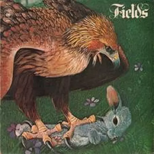 FIELDS / フィールズ / FIELDS: LIMITED VINYL - REMASTER