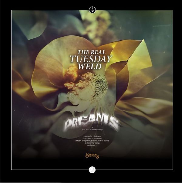 REAL TUESDAY WELD / DREAMS (CD)