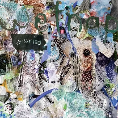 WETNAP / gnarled (LP)