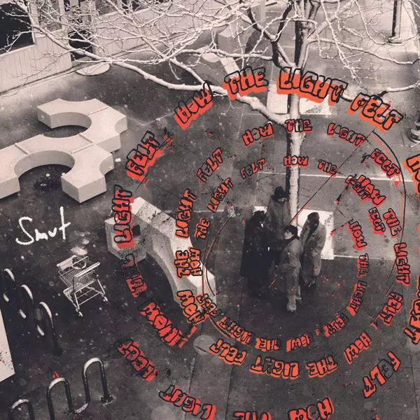 SMUT (INDIE) / HOW THE LIGHT FELT (VINYL)